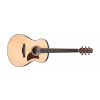 Ibanez AAM50-OPN