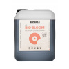 BIOBIZZ BIO-BLOOM 5L BIO KVET (BIOBIZZ BIO-BLOOM 5L BIO KVET)