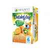 MEGAFYT BIO POMARANČ ovocný 20 x 2 g