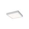 Rabalux 71076 DAMEK2 stropné svietidlo LED 18W