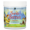 Nordic Berries Multivitamin pre Deti, Sladkokyslé, 120 gumových cukríkov Výživový doplnok