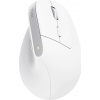 Trust Bayo+ Multidevice Ergonomic Wireless Mouse 25399