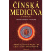 Čínská medicína v praxi - Susanne Hornfeck