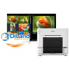 DNP DS-RX1HS | fototlačiareň + DiLand Kiosk 2 DNP | software