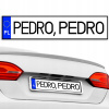 REGISTRAČNÁ TABUĽKA MAGNET NA CHLADNIČKU NA AUTO podľa výberu