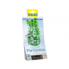 Tetra Anacharis 23cm rastlina plast. M