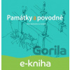E-kniha Památky a povodně - Klára Nedvědová