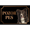 Border kólia - Kovová tabuľka POZOR PES