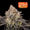 Fast Buds Gorilla Cookies (3 semená) - Feminizované