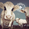 Steve'n'seagulls - Grainsville / Digisleeve [CD]