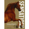 Sensations: The Story of British Art from Hogarth to Banksy - Jonathan Jones