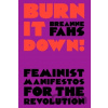 Burn It Down! - Breanne Fahs