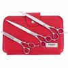 Geib Entree Scissors Set 9,5