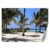 Fototapeta, Maledivy Palm Paradise Beach - 250x175 cm