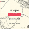 Dešťová hůl - Jiří Hájíček