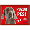 Juko Plastová tabuľa Pozor Pes Weimarský stavač 21 x 14,7 cm