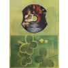 Princ a Večernice - DVD /dárkový obal/