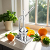 Hand Juicer