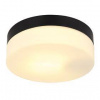 LED stropné svietidlo Globo 32111B