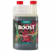 Záhradné hnojivo - Canna Boost 1L Cannaboost zlepšuje kvalitu rýchlo rastúcich rastlín. (Canna Boost 1L Cannaboost zlepšuje kvalitu rýchlo rastúcich rastlín.)