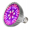 Osvetlenie pre rastliny - LED RASTOVÁ SVETELNÁ ŽIAROVKA NA PESTOVANIE RASTLÍN 50W E27 (Osvetlenie pre rastliny - LED RASTOVÁ SVETELNÁ ŽIAROVKA NA PESTOVANIE RASTLÍN 50W E27)