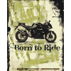 Vymalujsisam.sk Maľovanie podľa čísiel - Born to Ride Veľkosť: 40x50cm, Rám: Bez rámu, iba zrolované plátno