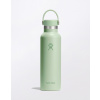 Hydro Flask Standard Mouth 21 oz (621 ml) Aloe