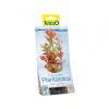 Tetra Red Ludwigia 15cm rastlina plast. S