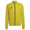 Adidas Teamsport Entrada 22 žlutá/černá UK L