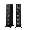 Paradigm Founder 100F
