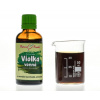 Violka vonná (fialka) - bylinné kapky (tinktura) 50 ml - doplněk stravy