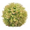 Umelá rastlina - Eucalyptus guľa - VERDEMAX - priemer 33 cm