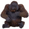 Mojo Orangutan