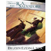 Temný Elf Drizzt 08 Bezhvězdná noc