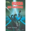 Hudba pro Anvilany - Sichinger Martin