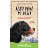 E-kniha Jeho vůně po dešti - Cédric Sapin-Defour