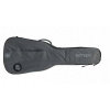 Ritter RGC3-C/EGR