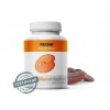 MycoMedica Reishi 90 kapslí