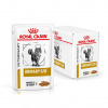 Royal Canin VHN Cat Urinary S/O Gravy Kapsičky 12 x 85 g