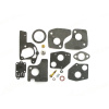 Karburátor Repair Kit Briggs Stratton 3-4PS horizontálne (494624/495606)