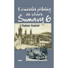 Kriminální příběhy ze staré Šumavy 6 - Šindelář Vladimír