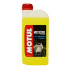 EURO-VAT MOTOCOOL EXPERT -37°C 1L MOTUL