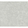 A.S. Création | Vliesová tapeta na stenu Absolutly Chic 36974-7 | 0,53 x 10,05 m | šedá + Šedá vliesová tapeta na stenu 369747 v rozmere 0,53 x 10,05 m