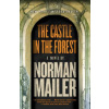 Castle in the Forest