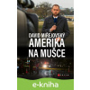E-kniha David Miřejovský: Amerika na mušce - David Miřejovský