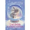 Lucinka a zraněný králíček - Boothová Anne