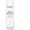 GOLDWELL Dualsenses Just Smooth Taming Shampoo 250 ml