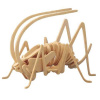 Woodcraft Dřevěné 3D puzzle - Cvrček