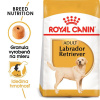 Royal Canin Adult Labrador Retriever granule pre dospelých psov 12 kg
