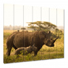 Obrazy 210x195 Rhino s dieťaťom (Obrazy 210x195 Rhino s dieťaťom)